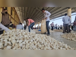 लहसुन के दामों में जबरदस्त उछाल; मंडी में रिकॉर्ड भाव, एक महीने में कीमतें दोगुनी, किसान-व्यापारियों ने ये कहा