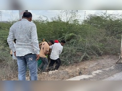 Lion Mauls Man To Death In Gujarat, Severed Head, Body Parts Recovered