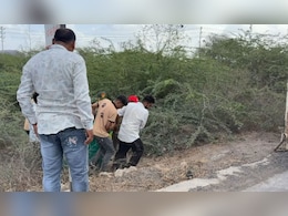 Lion Mauls Man To Death In Gujarat, Severed Head, Body Parts Recovered