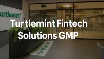 Turtlemint Fintech Solutions IPO Latest GMP, Price Band, Fresh Issue And More