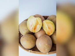 चीकू को इंग्लिश में क्&zwj;या कहते हैं, ज्&zwj;यादातर लोग जानते ही नहीं