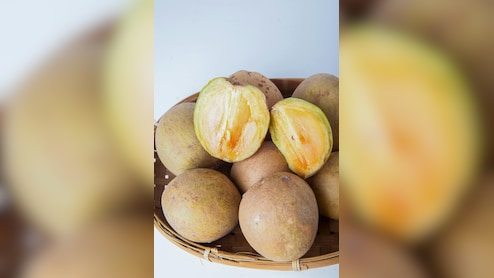चीकू को इंग्लिश में क्&zwj;या कहते हैं, ज्&zwj;यादातर लोग जानते ही नहीं