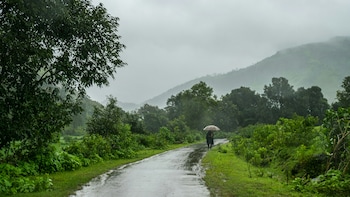 IMD: Monsoon Arrives In Maharashtra As Scheduled Despite Kerala Delay