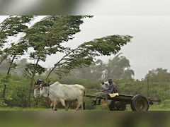 क्यूबा का हाल हो रहा बेहाल, अमेरिकी प्रतिबंध की मार झेल रहे लोग; तेल की किल्लत के बीच बैलगाड़ी से ढो रहे सामान