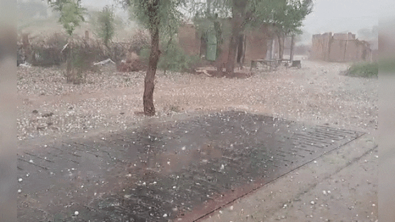 Rajasthan Weather: राजस्थान में फिर शुरू हुई बारिश, 25 जिलों में अलर्ट... दोपहर बाद अजमेर-नागौर में आंधी-बारिश के साथ गिरे ओले