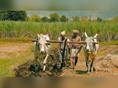 महाराष्ट्र के किसानों का 2 लाख तक का कर्ज होगा माफ, कर्जमाफी के लिए क्या हैं शर्तें, किन किसानों को नहीं मिलेगा लाभ? जानें हर सवाल का जवाब