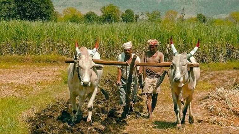 महाराष्ट्र के किसानों का 2 लाख तक का कर्ज होगा माफ, कर्जमाफी के लिए क्या हैं शर्तें, किन किसानों को नहीं मिलेगा लाभ? जानें हर सवाल का जवाब
