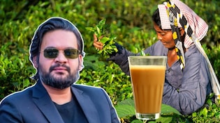 भारत की सख्ती से कड़वी हुई नेपाल की चाय! रोजाना लाखों किलो पत्तियां हो रहीं बर्बाद- बालेन सरकार पर दबाव