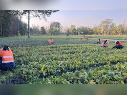 कोयले की खान से हरियाली तक, अदाणी ग्रुप ने सरगुजा खदान में लगाए 16 लाख पेड़ और ऐसे बदल डाली तस्&zwj;वीर