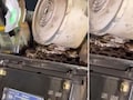 ट्रेन के इंजन में घुसा अजगर का बच्चा, रेलवे की सूझबूझ से किया गया रेस्क्यू, वीडियो हो रहा वायरल