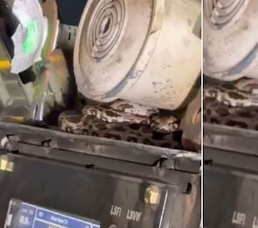 ट्रेन के इंजन में घुसा अजगर का बच्चा, रेलवे की सूझबूझ से किया गया रेस्क्यू, वीडियो हो रहा वायरल