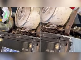 ट्रेन के इंजन में घुसा अजगर का बच्चा, रेलवे की सूझबूझ से किया गया रेस्क्यू, वीडियो हो रहा वायरल