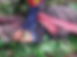 Naga Villager Killed In Attack By Suspected Insurgents In Manipur