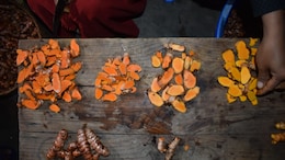 Lakadong Turmeric From Meghalaya Reaches Global Spotlight With G7 Gift
