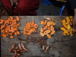 Lakadong Turmeric From Meghalaya Reaches Global Spotlight With G7 Gift
