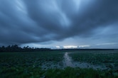 Monsoon: छत्तीसगढ़ वालों के लिए गुड न्यूज, 48 घंटे में पहुंचेगा मानसून, MP वासियों को करना होगा थोड़ा इंतजार