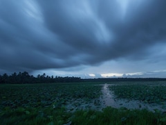 Monsoon 2026: छत्तीसगढ़ वालों को गुड न्यूज, 48 घंटे में पहुंचेगा मानसून, MP वासियों को करना होगा थोड़ा इंतजार