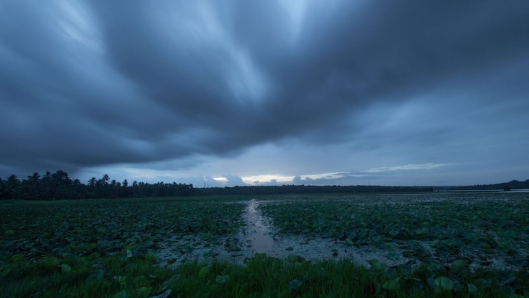 Monsoon: छत्तीसगढ़ वालों के लिए गुड न्यूज, 48 घंटे में पहुंचेगा मानसून, MP वासियों को करना होगा थोड़ा इंतजार