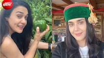 प्रीति जिंटा विदेश में कर रही हैं खेती, बगीचे में उगाए  टमाटर, शिमला मिर्च, हरी मिर्च और फल- हरी सब्जियां