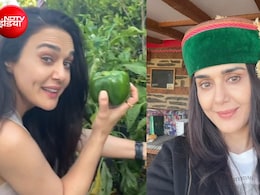 प्रीति जिंटा की 'घर की खेती&rsquo; ने जीता दिल, अमेरिका में किचन गार्डन में उगाए टमाटर, शिमला मिर्च, हरी मिर्च, फल और हरी सब्जियां