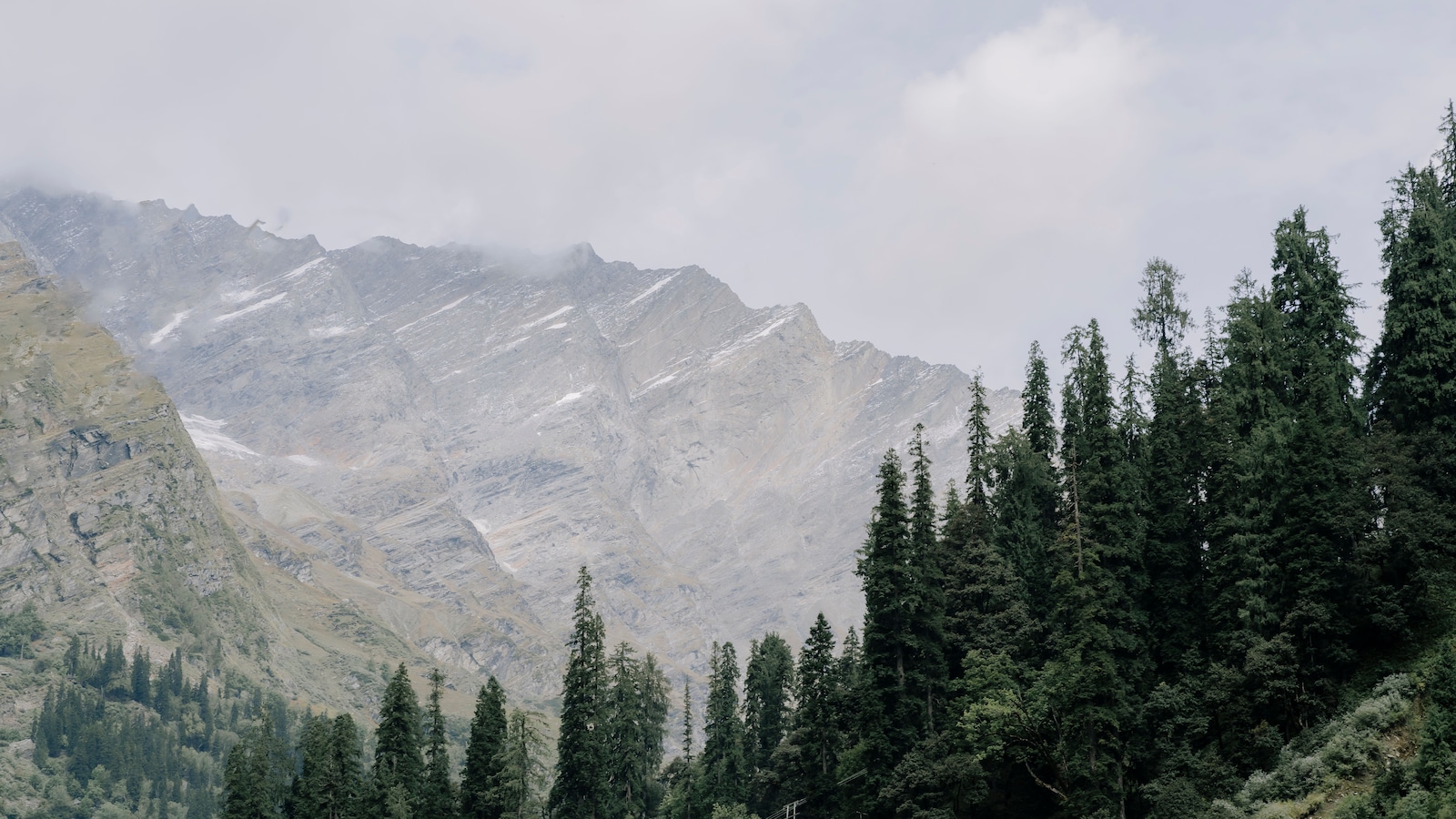 Mountain Bookings Up 76 Percent In June As Urban Indians Flock to Hills: Report