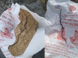Dead Snake Found In Food Packet Given To Pregnant Woman At Madhya Pradesh Anganwadi Centre