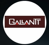 Gallantt Ispat 