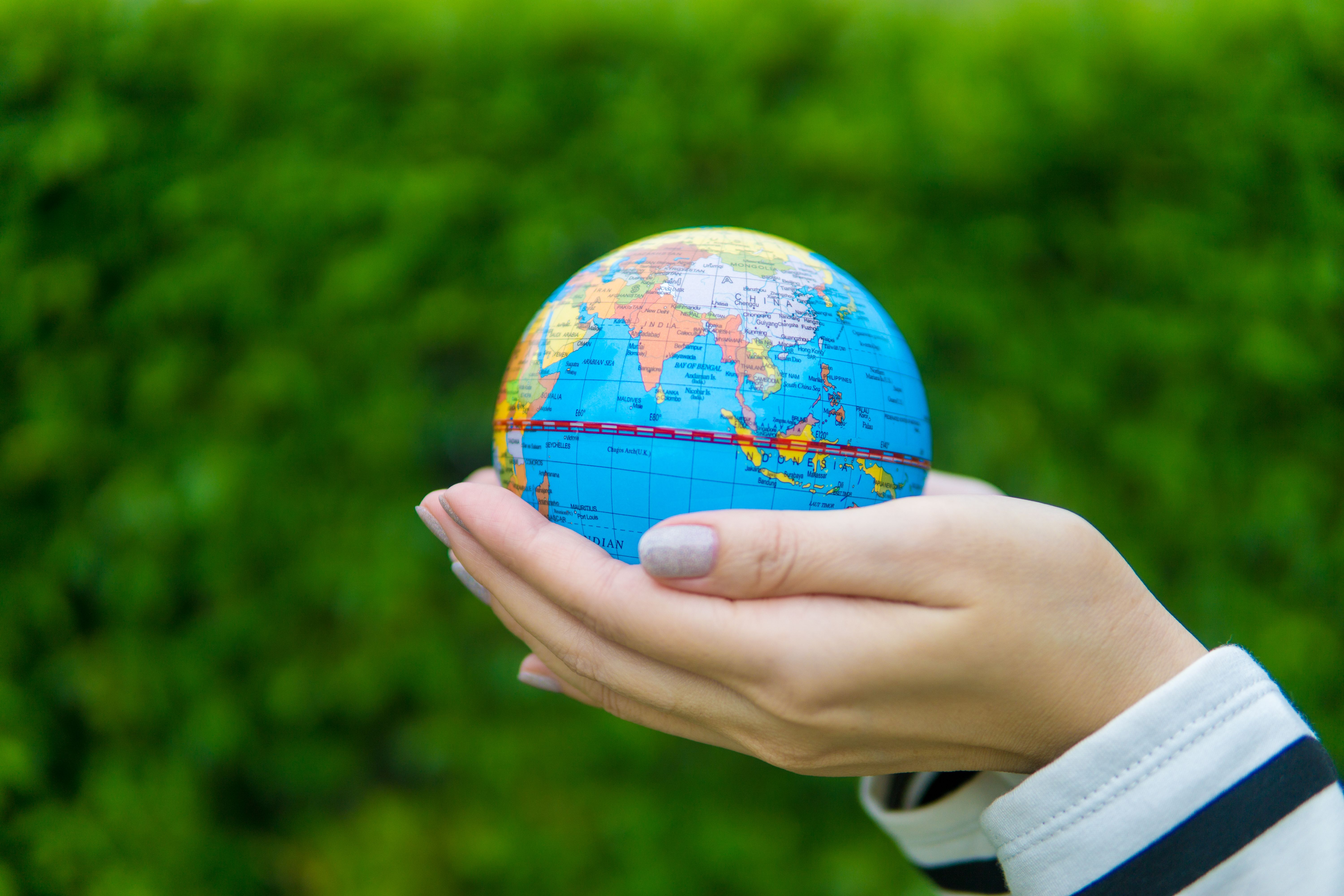 World Environment Day 2026: Know Date, History, Theme And Host Country