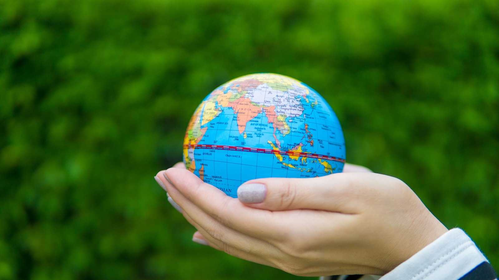 World Environment Day 2026: Know Date, History, Theme And Host Country