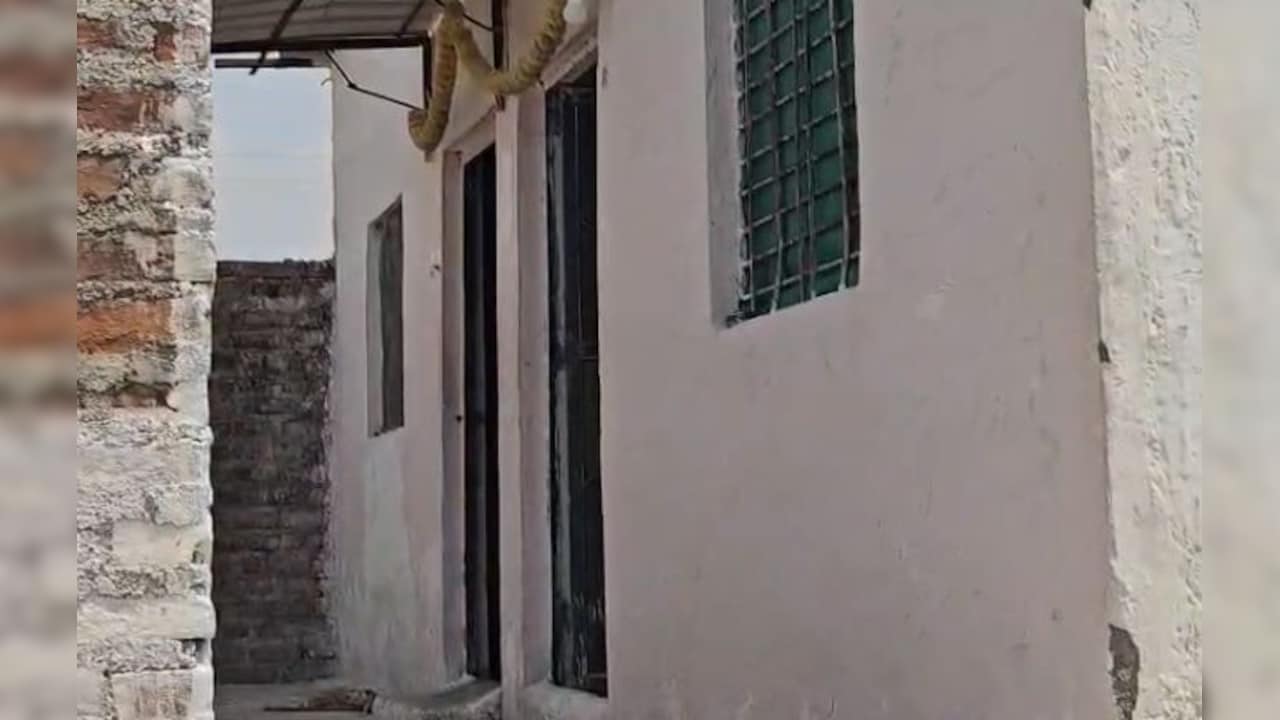 एक घर में मिली तीन सड़ी-गली लाशें! पड़ोसियों को दुर्गंध आने पर पुलिस को दी सूचना 
