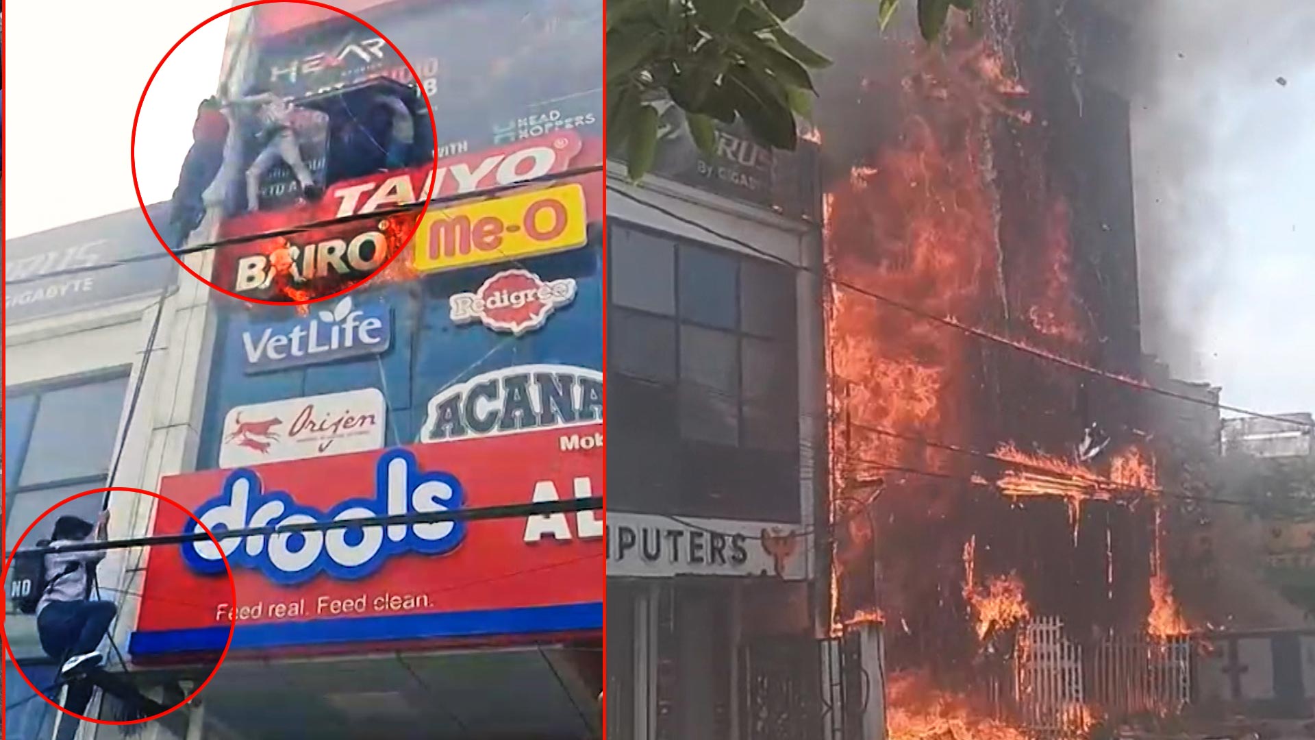 Dramatic Rescue In Lucknow Fire As Students Climb Down Ropes
