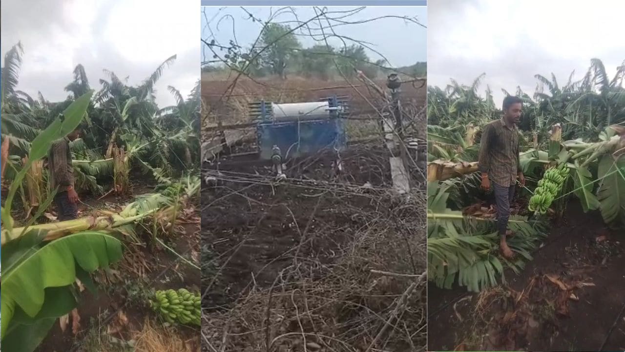 बड़वानी में तेज आंधी-बारिश ने मचाई तबाही: केले और सब्जी की फसलें चौपट, किसानों को भारी नुकसान 
