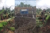 बड़वानी में तेज आंधी-बारिश ने मचाई तबाही: केले और सब्जी की फसलें चौपट, किसानों को भारी नुकसान