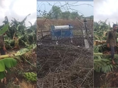बड़वानी में तेज आंधी-बारिश ने मचाई तबाही: केले और सब्जी की फसलें चौपट, किसानों को भारी नुकसान 