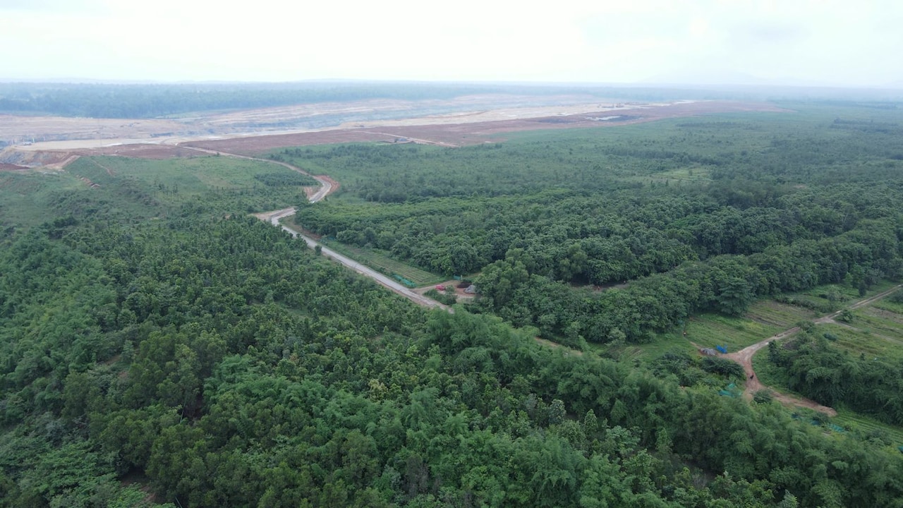 From Coal Pit To Green Cover: Adani's Surguja Mine Restored With 1.6 Million Trees