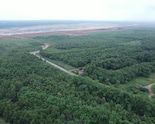 From Coal Pit To Green Cover: Adani's Surguja Mine Restored With 1.6 Million Trees