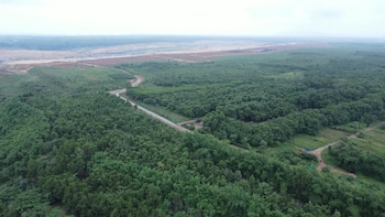 From Coal Pit To Green Cover: Adani's Surguja Mine Restored With 1.6 Million Trees