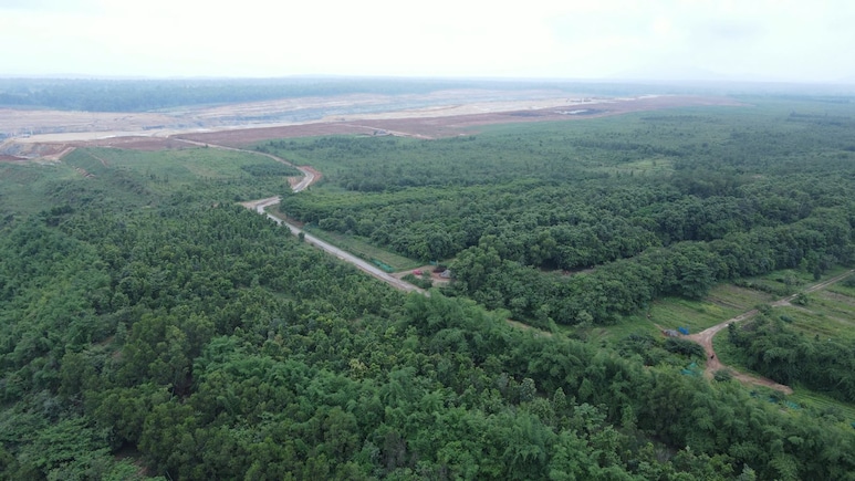From Coal Pit To Green Cover: Adani's Surguja Mine Restored With 1.6 Million Trees