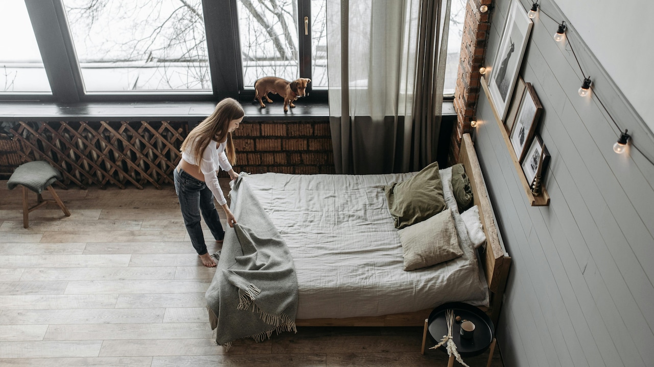 Refresh your bedding with cotton king and queen-size bedsheets that make you ready for rest Refresh your bedding with cotton king and queen-size bedsheets that make you ready for rest