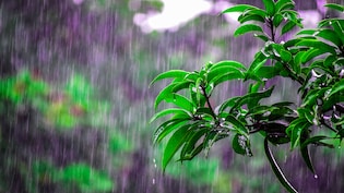 Mumbai Rains: Will It Rain All Day? Here's Latest Forecast