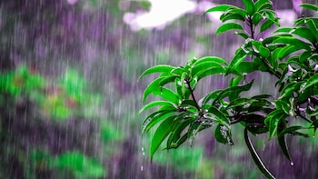 Mumbai Rains: Will It Rain All Day? Here's Latest Forecast