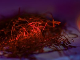 Which Place Is Known As The Saffron Capital Of India?