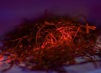 https://food.ndtv.com/food-drinks/which-place-is-known-as-the-saffron-capital-of-india-11707435