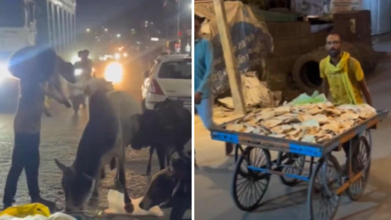 कोई गाय भूखी न सोए... इस शख्स का रोज का काम जीत रहा लोगों का दिल, वीडियो वायरल