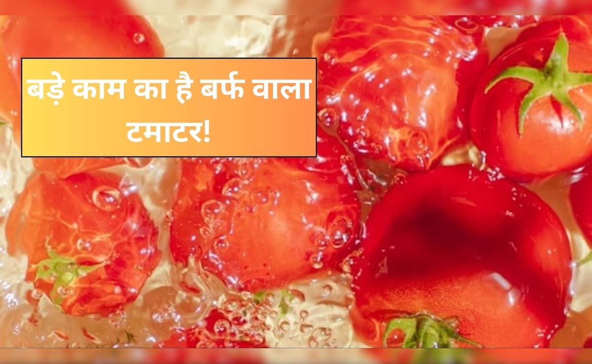 फ्रिज में रखे टमाटर पर जम गई है बर्फ? फेंकने की गलती न करें, इन आसान तरीकों से कर सकते हैं इस्तेमाल