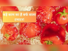 फ्रिज में रखे टमाटर पर जम गई है बर्फ? फेंकने की गलती न करें, इन आसान तरीकों से कर सकते हैं इस्तेमाल