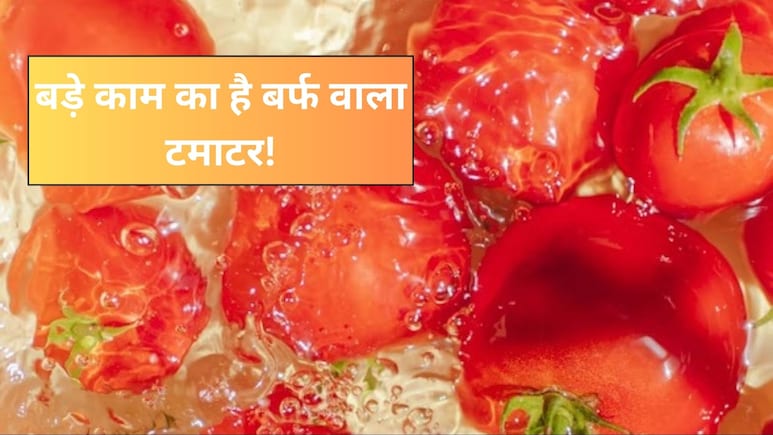 फ्रिज में रखे टमाटर पर जम गई है बर्फ? फेंकने की गलती न करें, इन आसान तरीकों से कर सकते हैं इस्तेमाल