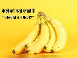 क्या सच में केला है &lsquo;जन्नत का फल&rsquo;? इतिहास और मान्यताओं से जुड़ा रोचक किस्सा