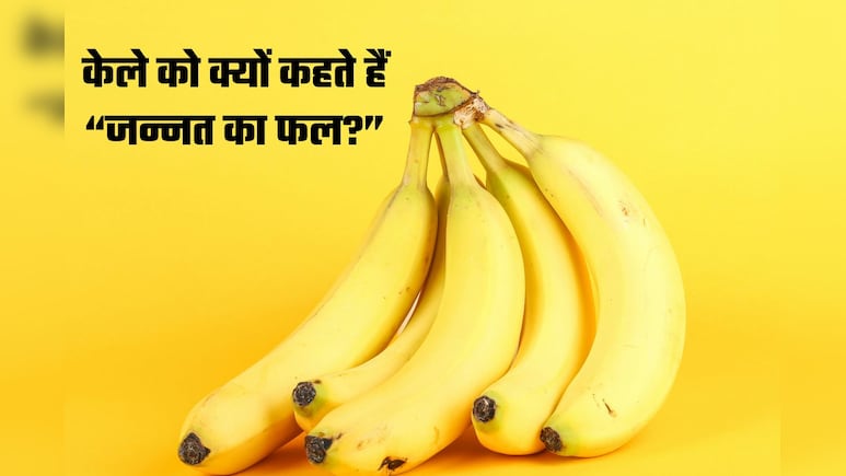 क्या सच में केला है &lsquo;जन्नत का फल&rsquo;? इतिहास और मान्यताओं से जुड़ा रोचक किस्सा
