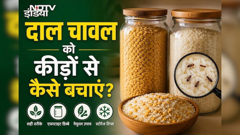 बारिश के मौसम में दाल-चावलों को कीड़े लगने से कैसे बचाएं?  शेफ ने बताए घरेलू नुस्खे
